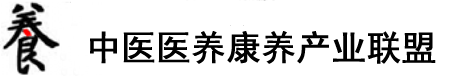 大鸡巴网视频